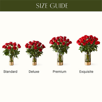 Classic Love Red Rose Bouquet –  Oliverios Florist, Bridgeport WV