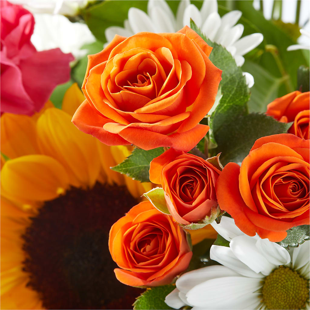 Sun-drenched Blooms Bouquet –  Oliverios Florist, Bridgeport WV