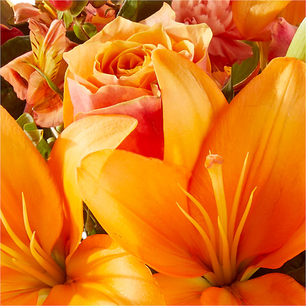 Afternoon Light Bouquet –  Oliverios Florist, Bridgeport WV