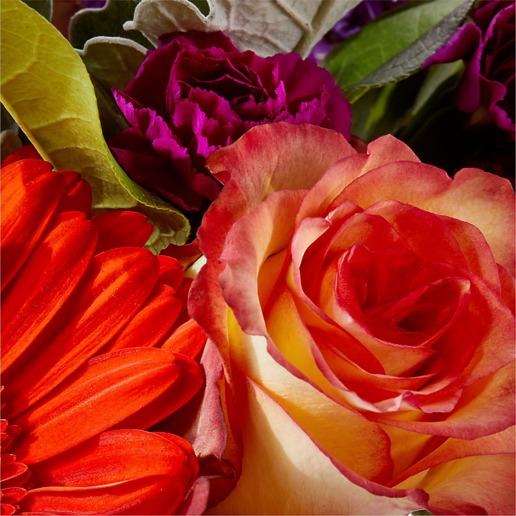 Sangria Bouquet –  Oliverios Florist, Bridgeport WV