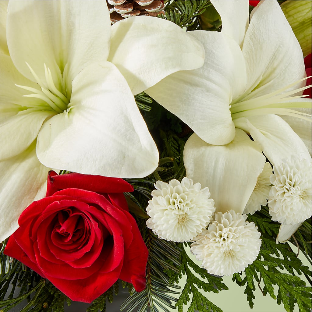 Seasonal Festivities Centerpiece –  Oliverios Florist, Bridgeport WV