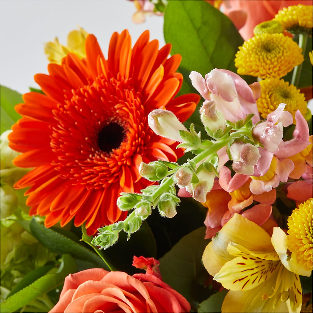 Autumn Sunshine Bouquet –  Oliverios Florist, Bridgeport WV