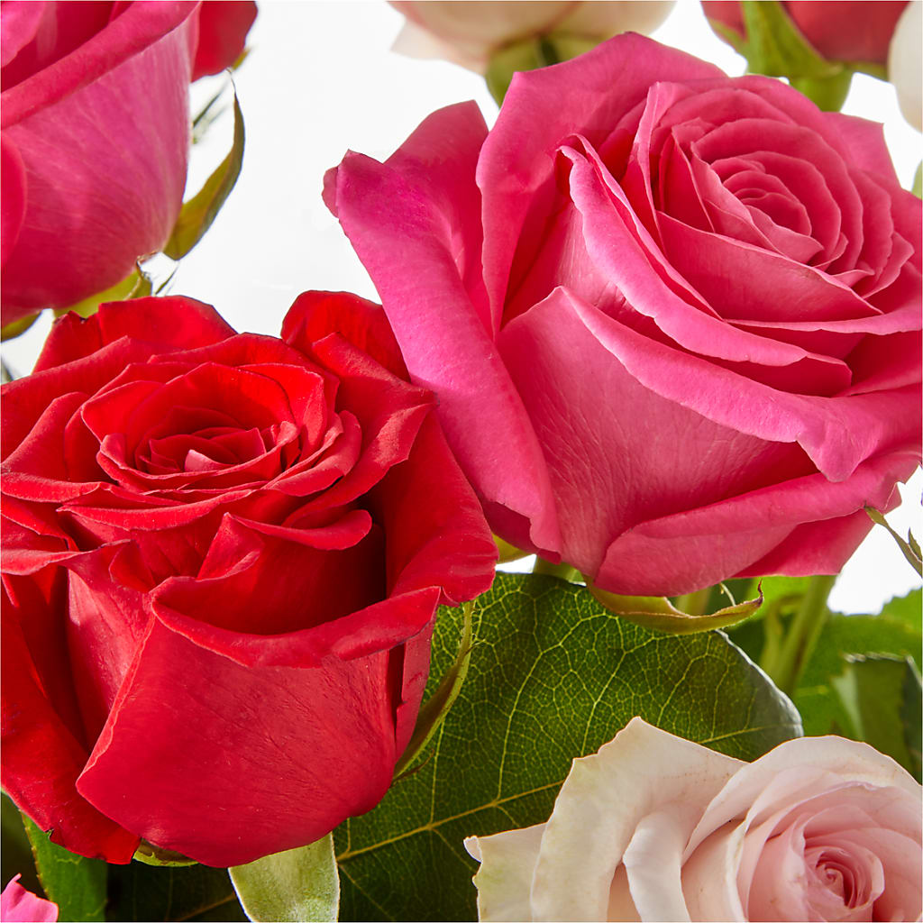 Charming Rose Bouquet –  Oliverios Florist, Bridgeport WV