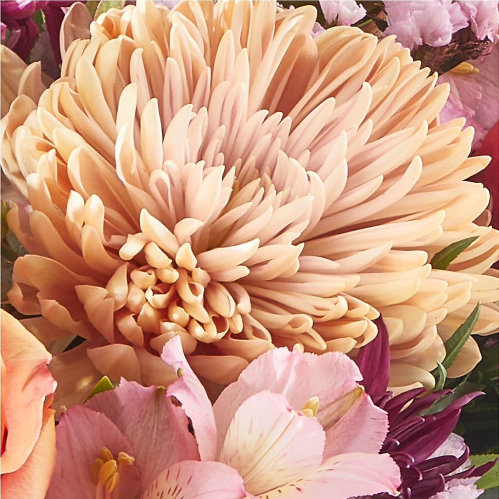 Berry Cobbler Bouquet –  Oliverios Florist, Bridgeport WV