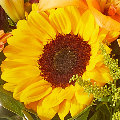 Seasons Change Bouquet –  Oliverios Florist, Bridgeport WV