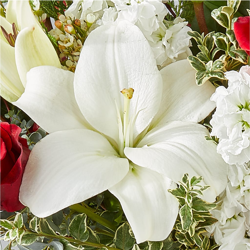 Twinkle Lights Bouquet –  Oliverios Florist, Bridgeport WV