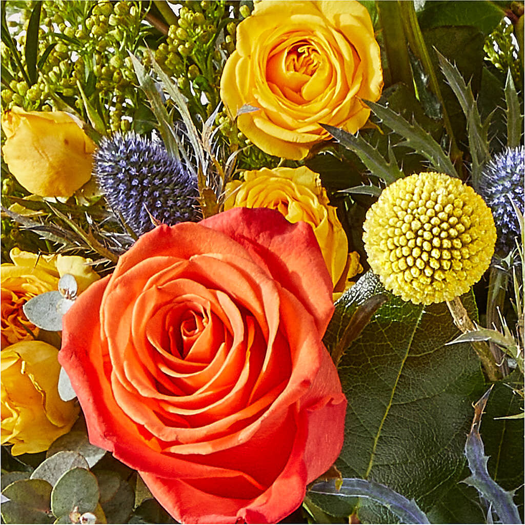 Disco Bouquet –  Oliverios Florist, Bridgeport WV