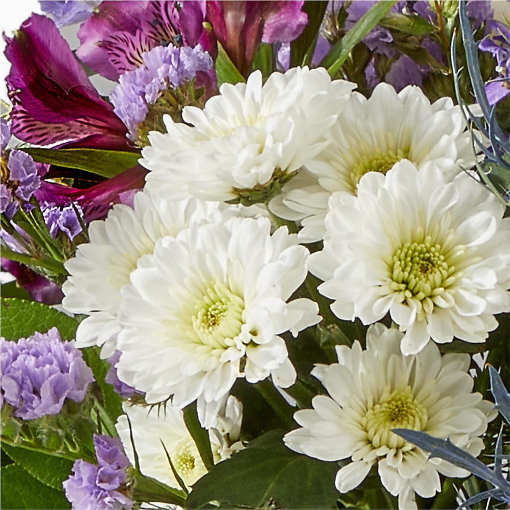Shooting Star Bouquet –  Oliverios Florist, Bridgeport WV