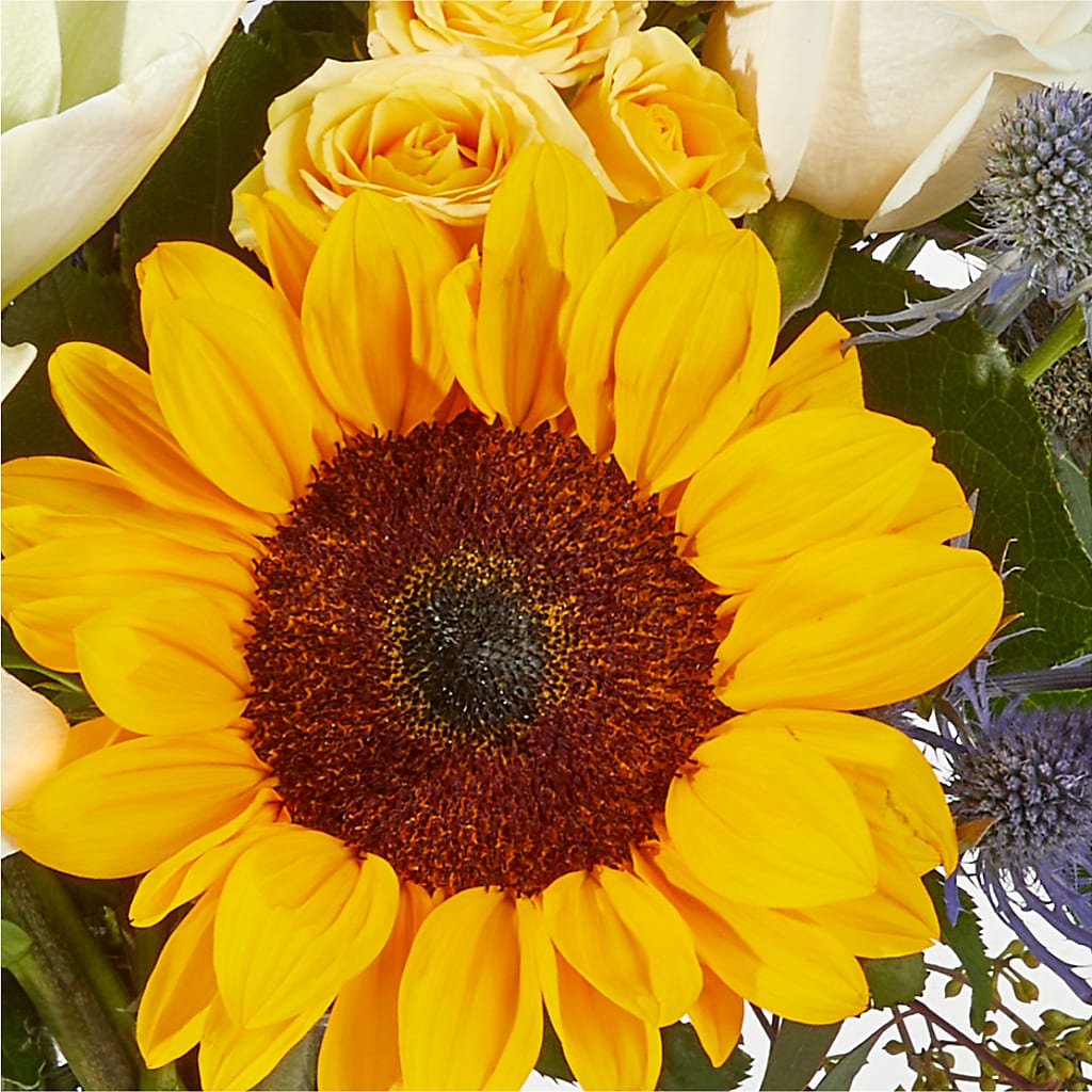 Wonderfully Sunny Bouquet –  Oliverios Florist, Bridgeport WV
