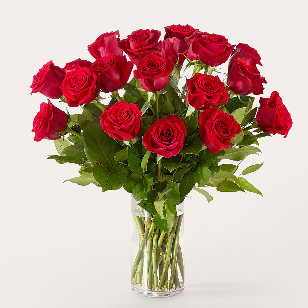 The One Red Rose Bouquet –  Oliverios Florist, Bridgeport WV