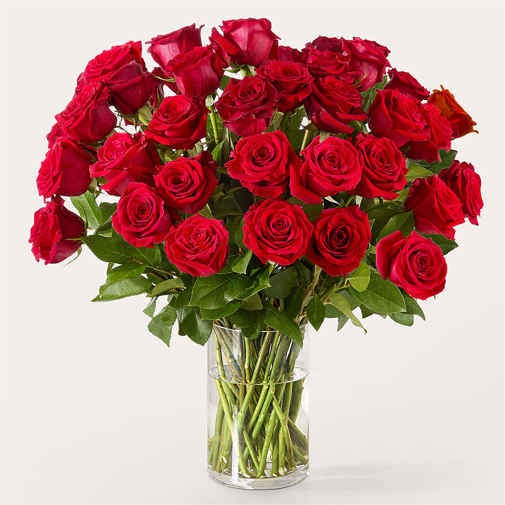 The One Red Rose Bouquet –  Oliverios Florist, Bridgeport WV
