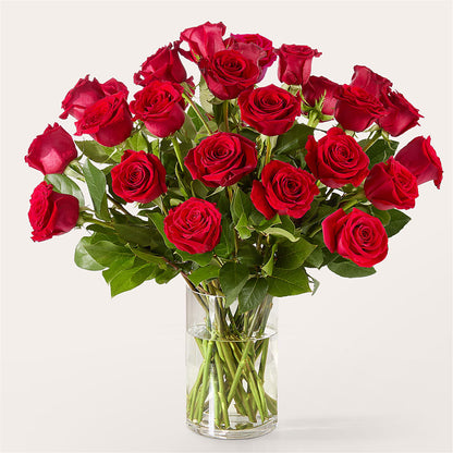 The One Red Rose Bouquet –  Oliverios Florist, Bridgeport WV