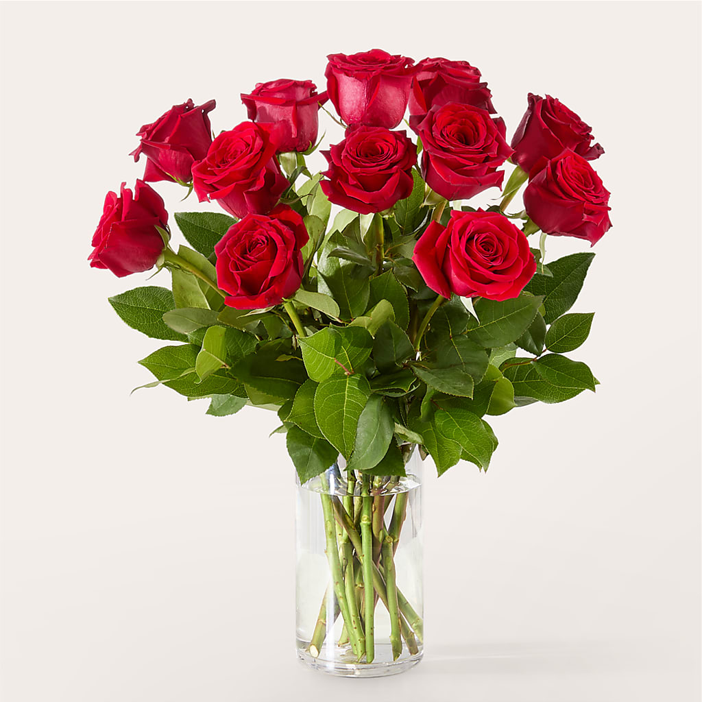 The One Red Rose Bouquet –  Oliverios Florist, Bridgeport WV