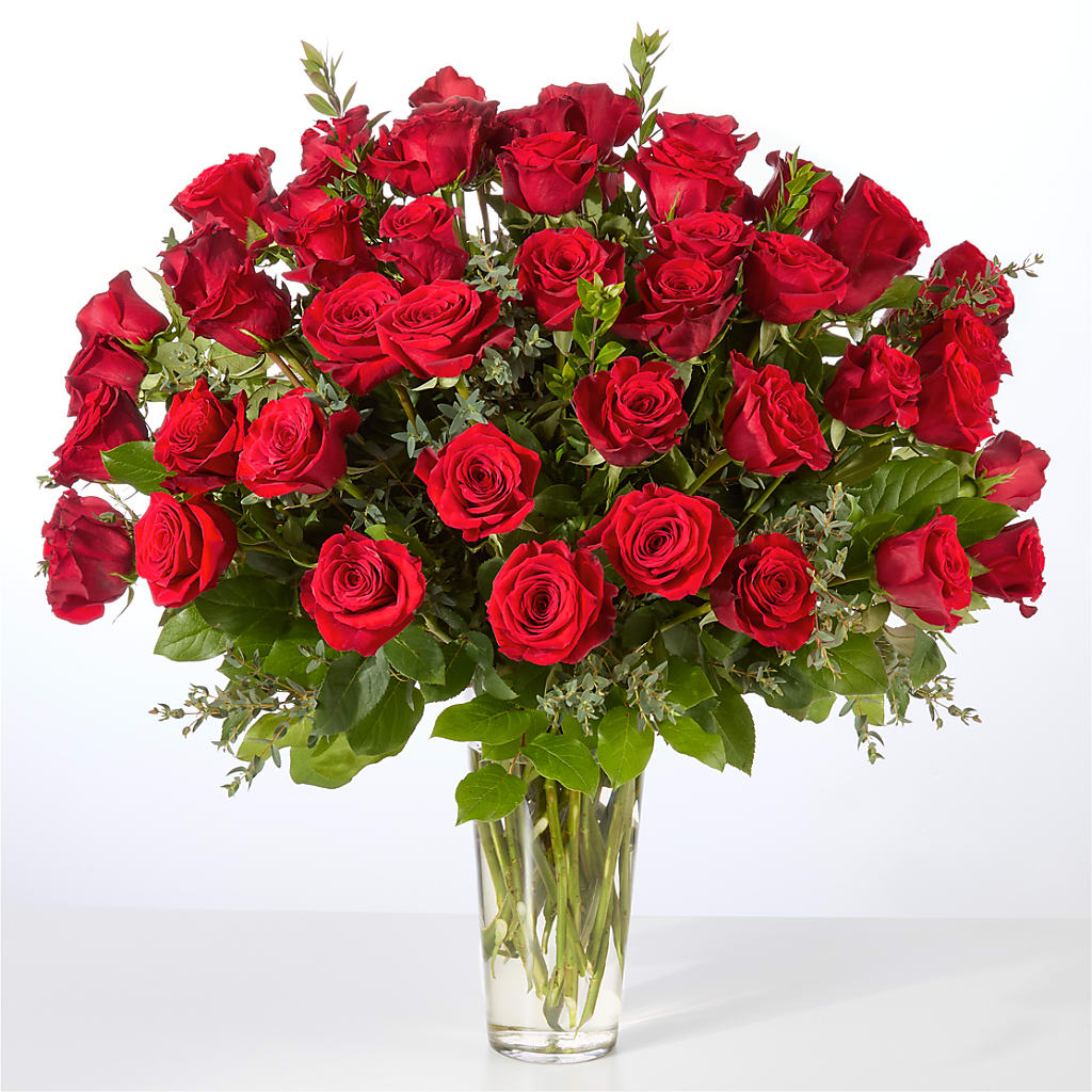 Forever Yours Fifty Stem Red Rose Bouquet –  Oliverios Florist, Bridgeport WV