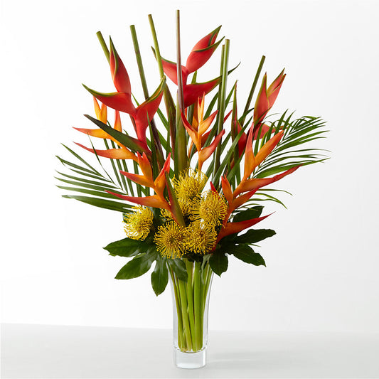 The Drama –  Oliverios Florist, Bridgeport WV
