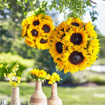 Sublime Garden Hanging Arrangement –  Oliverios Florist, Bridgeport WV