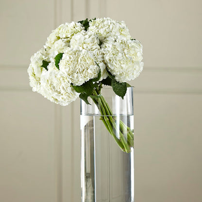 White Hydrangea Hand-Tied Bouquet –  Oliverios Florist, Bridgeport WV