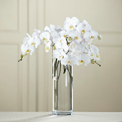 White Phalaenopsis Bouquet –  Oliverios Florist, Bridgeport WV