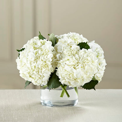 White Hydrangea Bouquet –  Oliverios Florist, Bridgeport WV