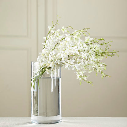 White Dendrobium Bouquet –  Oliverios Florist, Bridgeport WV